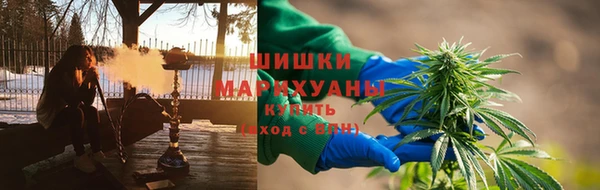 сатива Красноперекопск