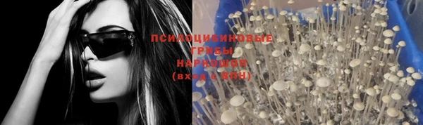 МДПВ Дмитров