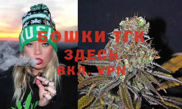 сатива Красноперекопск