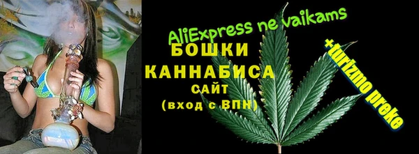 дживик Валдай