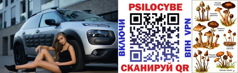Псилоцибиновые грибы Cubensis  Вуктыл 